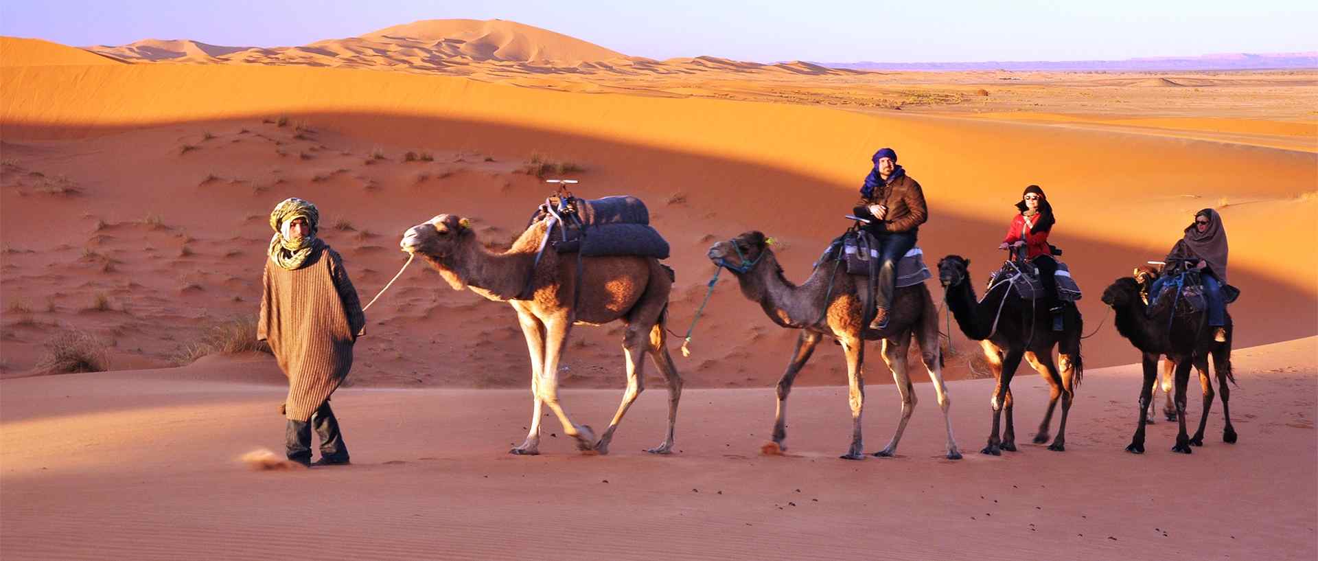 Camel Safari tour itinerary