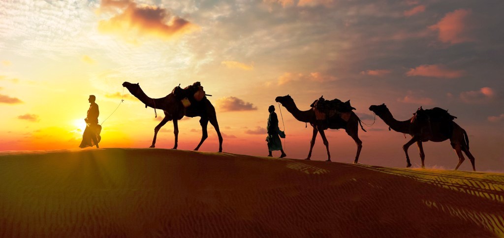 Camel Safari tour itinerary