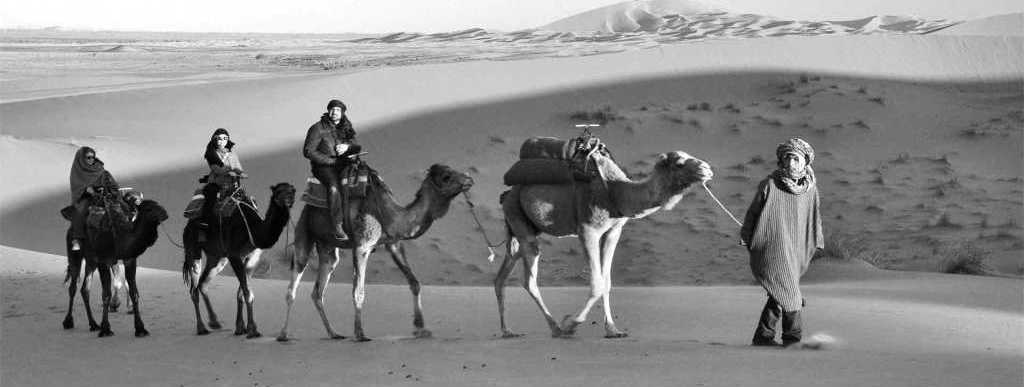 north india tour packages