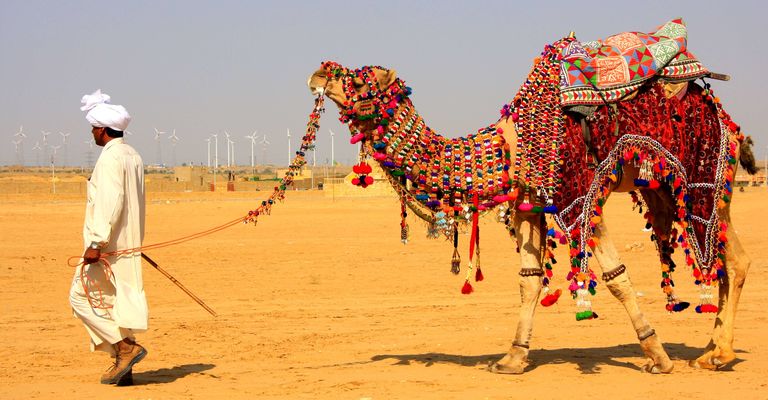 Camel Safari tour itinerary