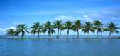 Kerala Tour Packages