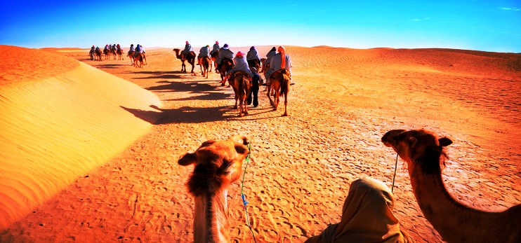 Camel Safari tour itinerary